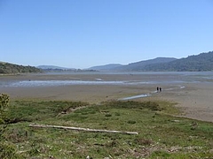 Alan Sieroty Beach@Tomales Bay 2