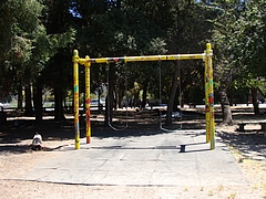People's Park@Berkeley,CA People's Park@Berkeley,CA