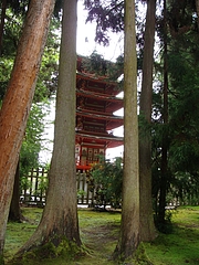 Japanese Tea Garden @ San Francisco Japanese Tea Garden @ San Francisco