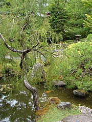 2009 1354 2009 1354