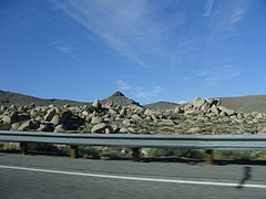 2009 318 2009 318