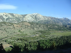 2009 321 2009 321