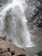2009 259 2009 259