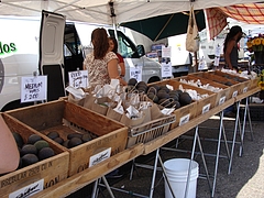 Berkeley Farmers Market Berkeley Farmers Market
