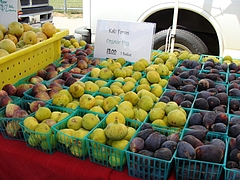 Berkeley Farmers Market Berkeley Farmers Market