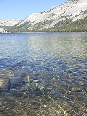 2009 293 2009 293