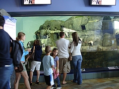 Monterey Bay Aquarium Monterey Bay Aquarium