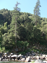 2009 169 2009 169
