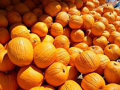 Halloween_American_Sweets 17