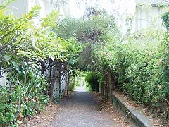 米版トトロ道
