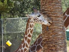 oaklandzoo4