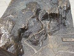 2009 226 2009 226