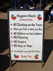 Fruits at Brentwood 1