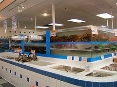 RanchMarketの店内水槽