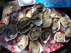 Alan Sieroty Beach@Tomales Bay 10