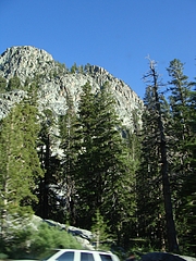 2009 324 2009 324