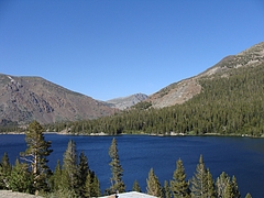 2009 304 2009 304