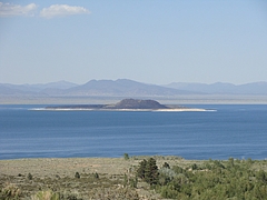 2009 308 2009 308