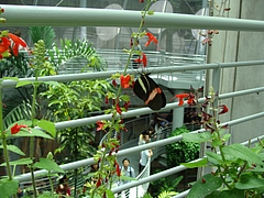 California Academy of Science California Academy of Science
