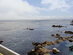 Monterey Bay Aquarium Monterey Bay Aquarium