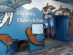 Monterey Bay Aquarium Monterey Bay Aquarium