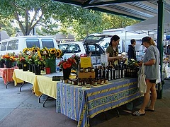 2008 161