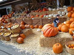 Halloween_American_Sweets 12