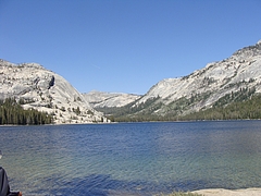 2009 292 2009 292