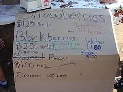 Fruits at Brentwood 7