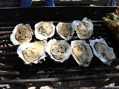 Alan Sieroty Beach@Tomales Bay 8