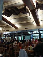 2009 278 2009 278