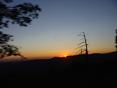 2009 139 2009 139