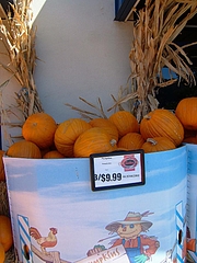 Halloween_American_Sweets 16