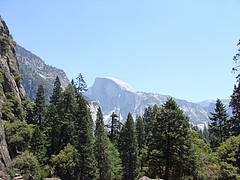 2009 249 2009 249