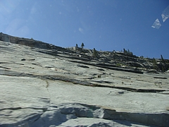 2009 290 2009 290