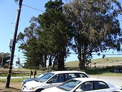 Alan Sieroty Beach@Tomales Bay 15