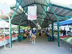 2008 160