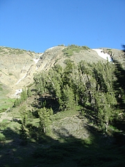 2009 323 2009 323