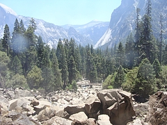 2009 255 2009 255