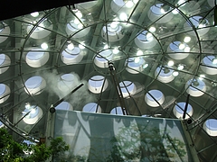 California Aacademy of Science California Aacademy of Science