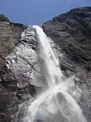 2009 258 2009 258