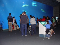 Monterey Bay Aquarium Monterey Bay Aquarium