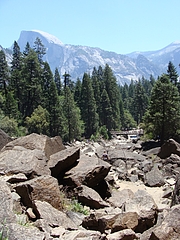 2009 251 2009 251