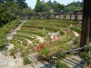 rose garden@Berkeley