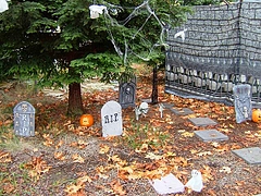 trick_or_treat_2008@Berkeley 8