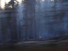 2009 132 2009 132