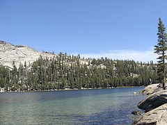 2009 294 2009 294