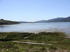 Alan Sieroty Beach@Tomales Bay 13