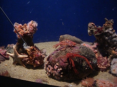 Monterey Bay Aquarium Monterey Bay Aquarium