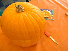 trick_or_treat_2008@Berkeley 14